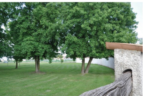 terreno edificabile in vendita a Vigonza