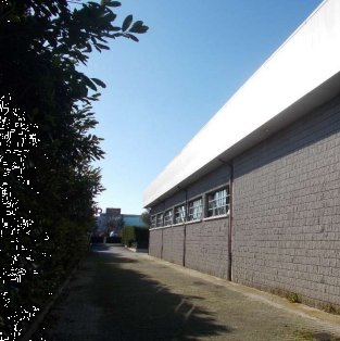 capannone in vendita a Vigonza