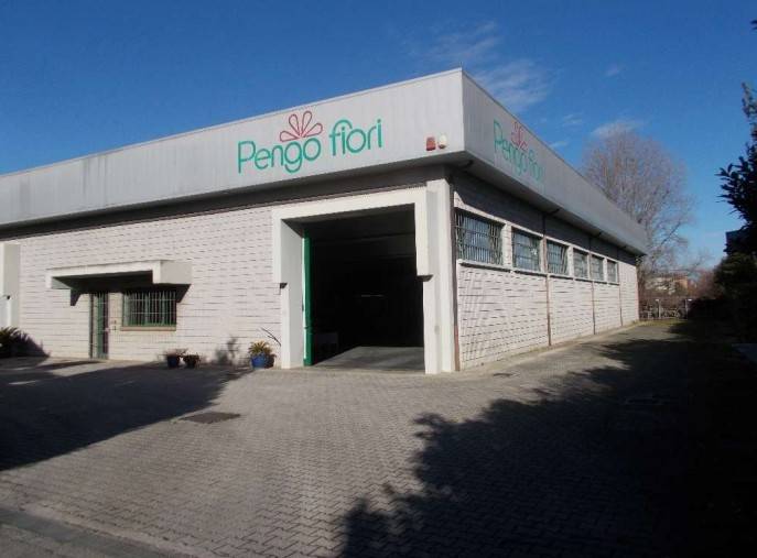 terreno edificabile in vendita a Vigonza