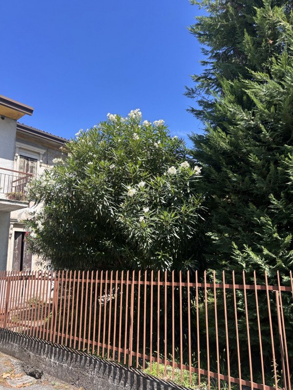 casa indipendente in vendita a Vigonza