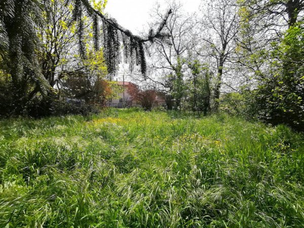 terreno agricolo in vendita a Vigonza