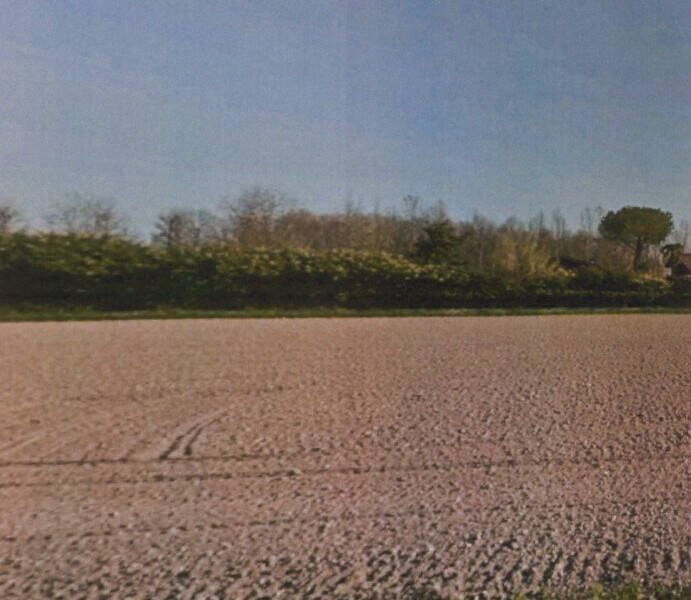 terreno agricolo in vendita a Vigonza