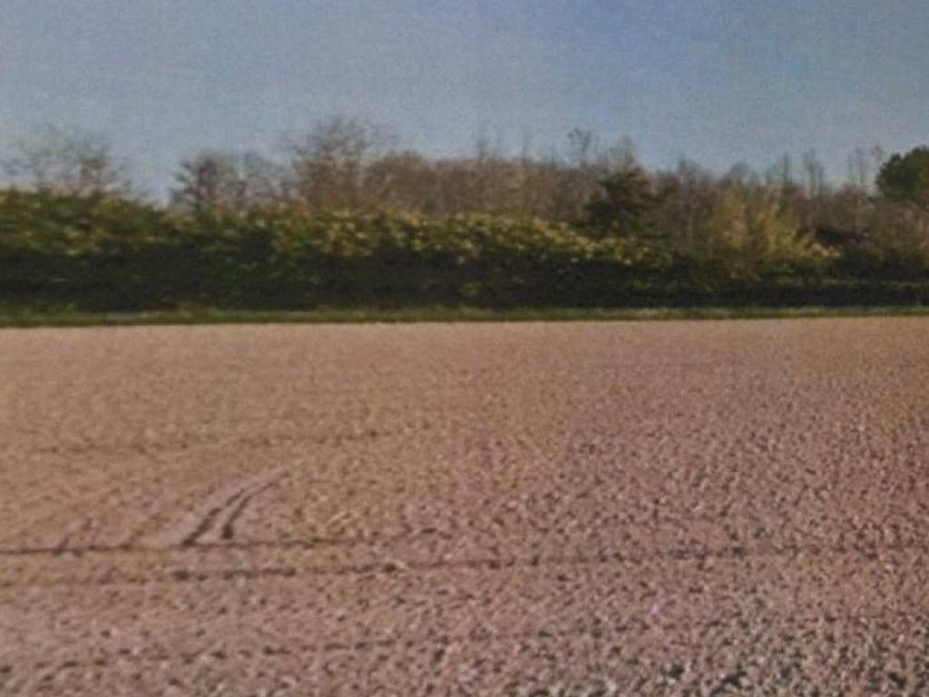 terreno agricolo in vendita a Vigonza