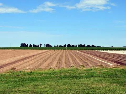 terreno edificabile in vendita a Vigonza