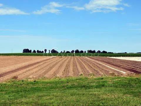 terreno edificabile in vendita a Vigonza