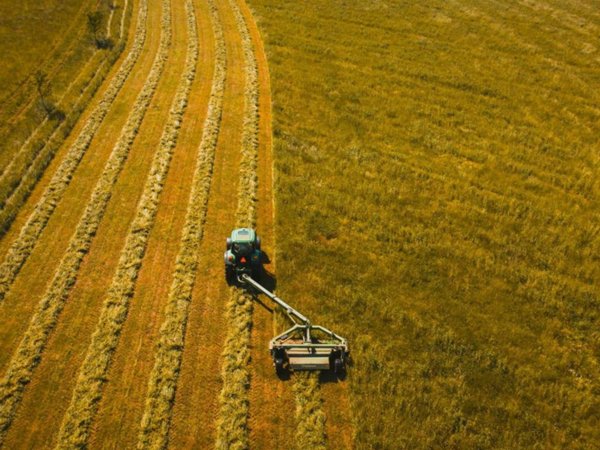 terreno agricolo in vendita a Vigonza in zona Codiverno