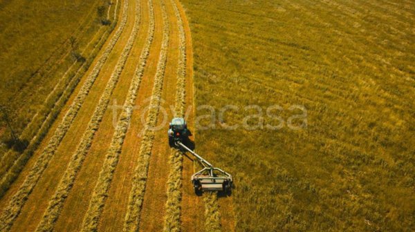 terreno agricolo in vendita a Vigonza in zona Codiverno