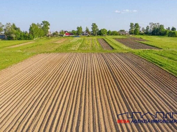 terreno agricolo in vendita a Vigonza in zona Perarolo