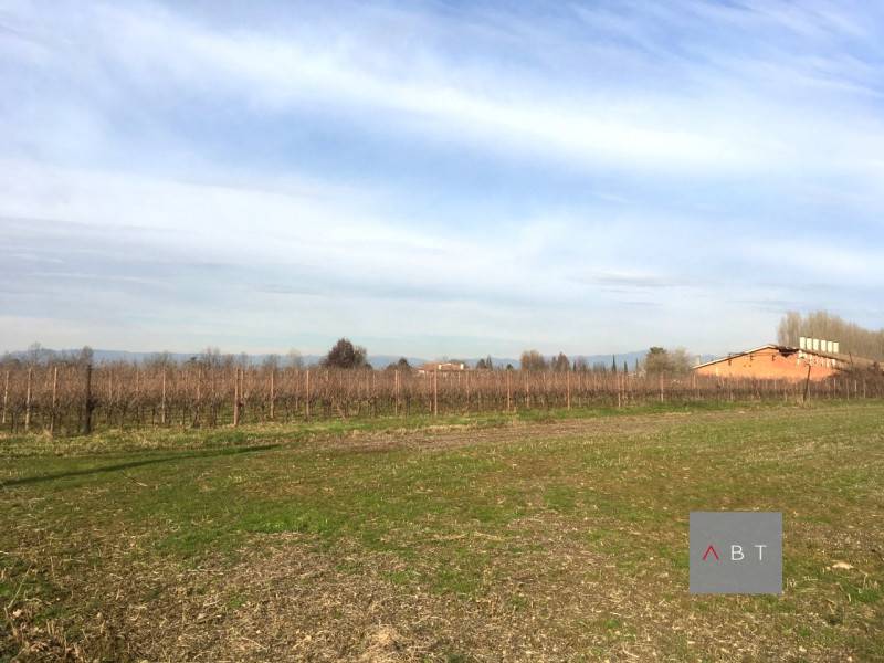casa indipendente in vendita a Villa del Conte
