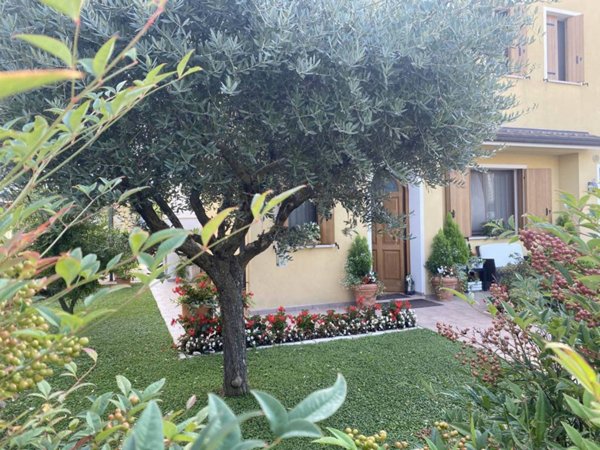 casa indipendente in vendita a Villa del Conte in zona Abbazia Pisani