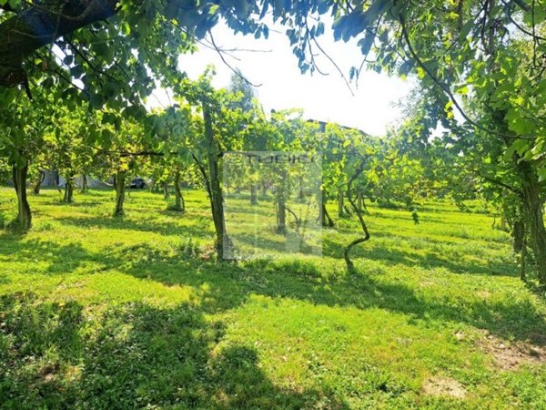 casa indipendente in vendita a Villa del Conte