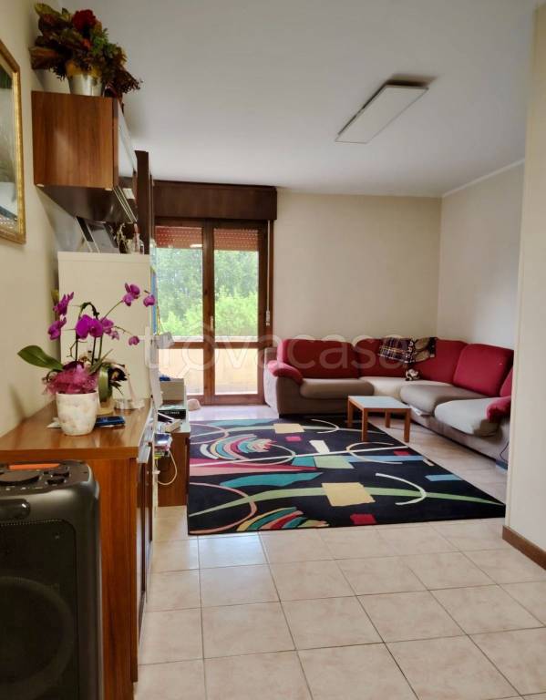 casa indipendente in vendita a Villa del Conte