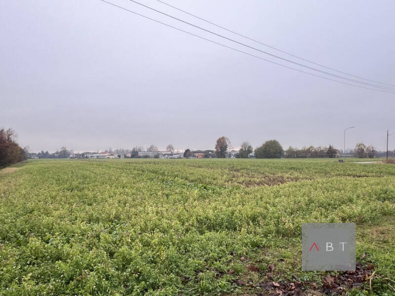 terreno agricolo in vendita a Villa del Conte