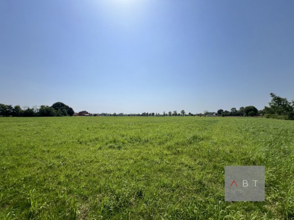 terreno agricolo in vendita a Villa del Conte