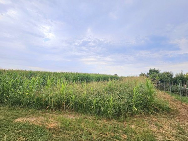 terreno agricolo in vendita a Villa Estense