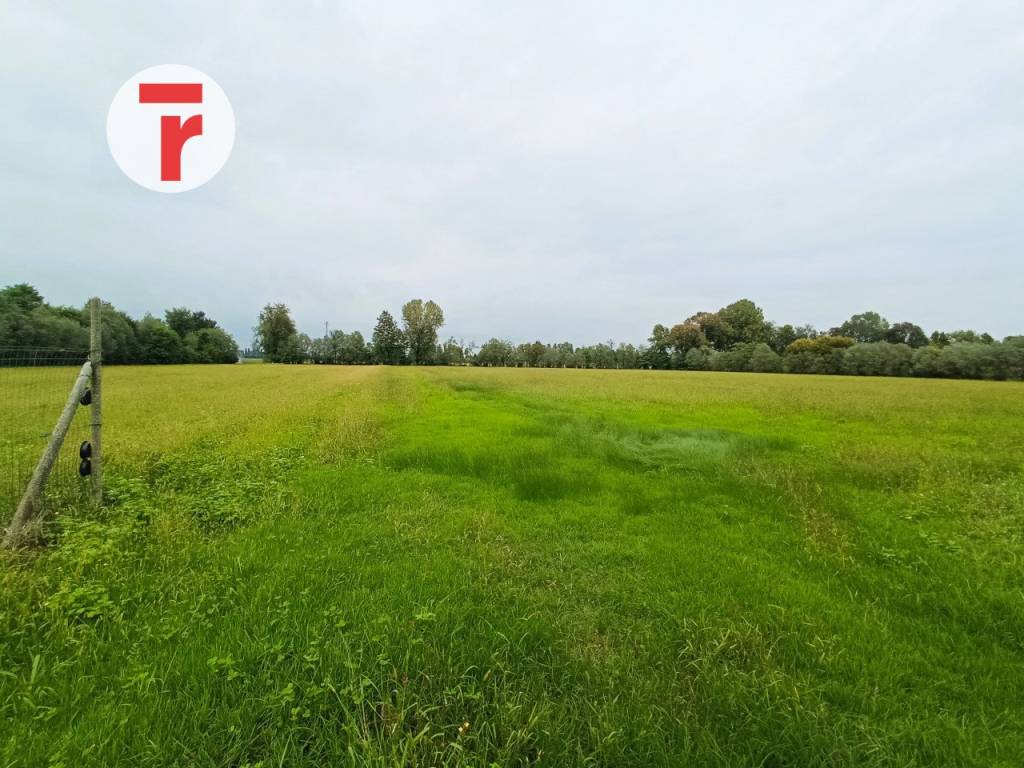 terreno agricolo in vendita a Villafranca Padovana