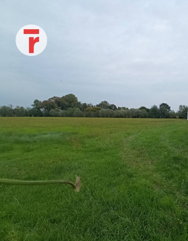 terreno agricolo in vendita a Villafranca Padovana