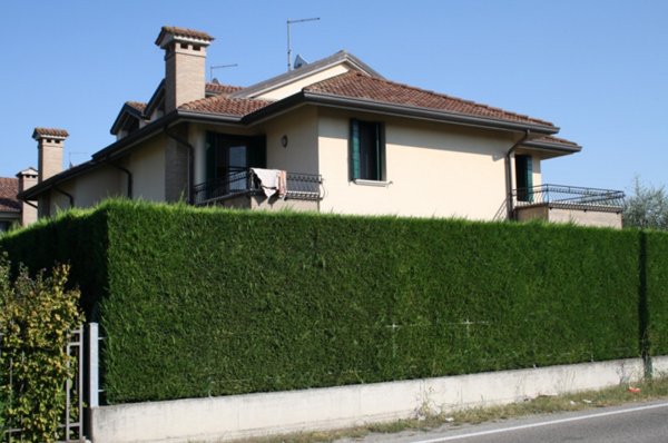 casa indipendente in vendita a Villafranca Padovana