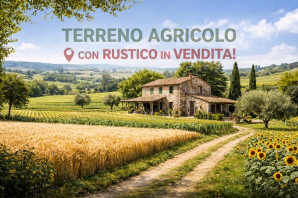 casale in vendita a Villafranca Padovana