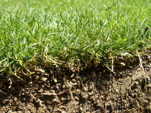 casa indipendente in vendita a Villafranca Padovana