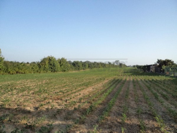 terreno edificabile in vendita a Villanova di Camposampiero