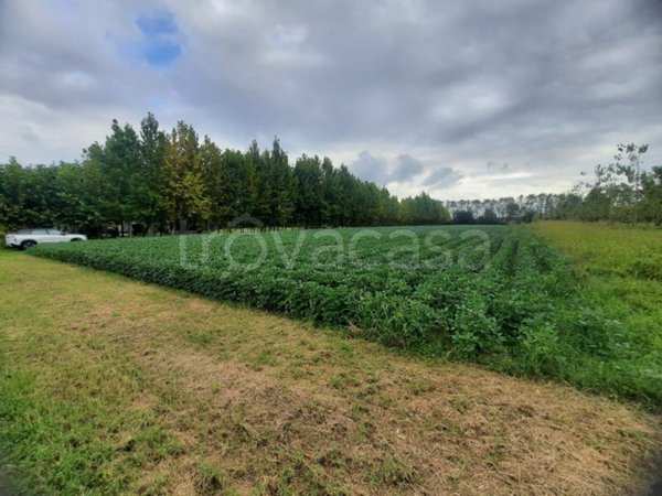 terreno agricolo in vendita a Villanova di Camposampiero
