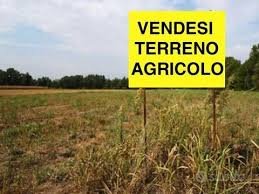 terreno edificabile in vendita a Villanova di Camposampiero