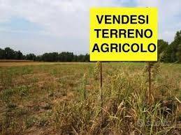 terreno edificabile in vendita a Villanova di Camposampiero