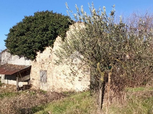 terreno agricolo in vendita a Vo'