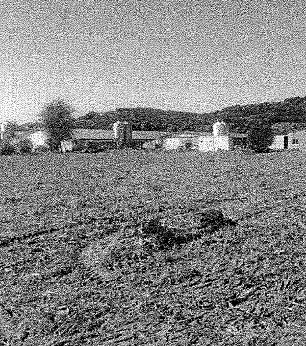 terreno agricolo in vendita a Vo'