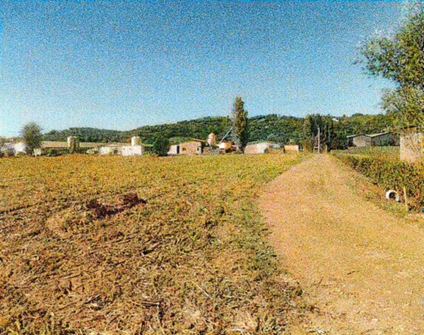 terreno edificabile in vendita a Vo'