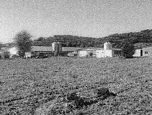 terreno agricolo in vendita a Vo'