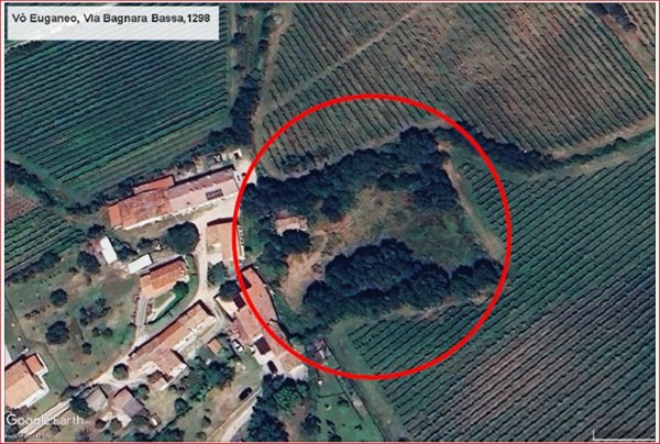 casa indipendente in vendita a Vo'