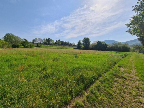 terreno agricolo in vendita a Vo'