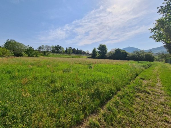 terreno edificabile in vendita a Vo'