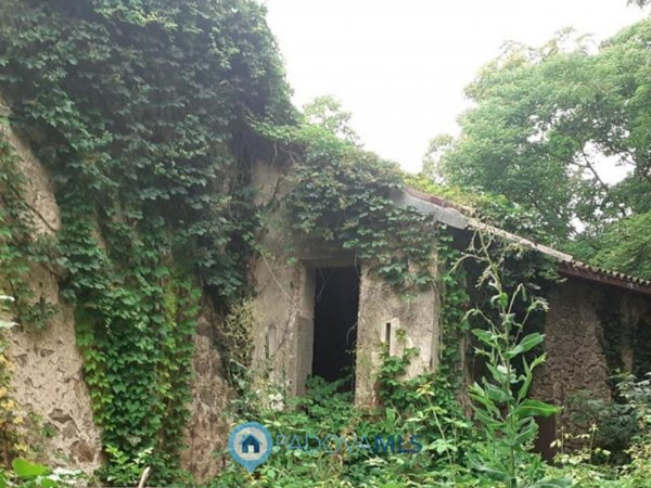 casa indipendente in vendita a Vo'