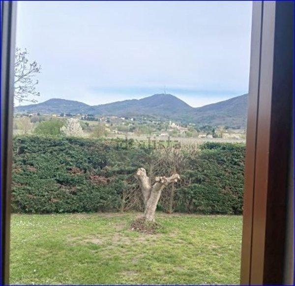 casa indipendente in vendita a Vo'