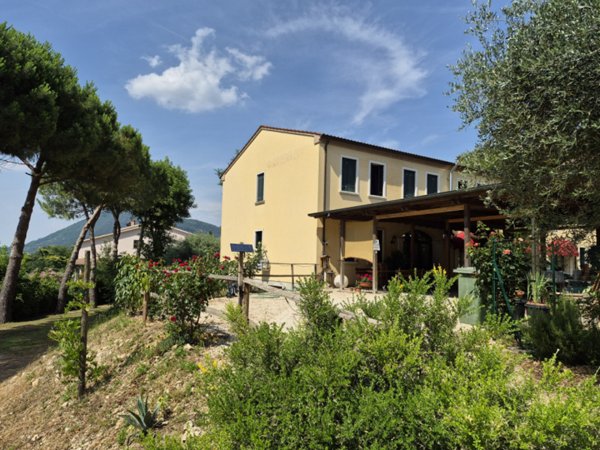 casa indipendente in vendita a Vo'