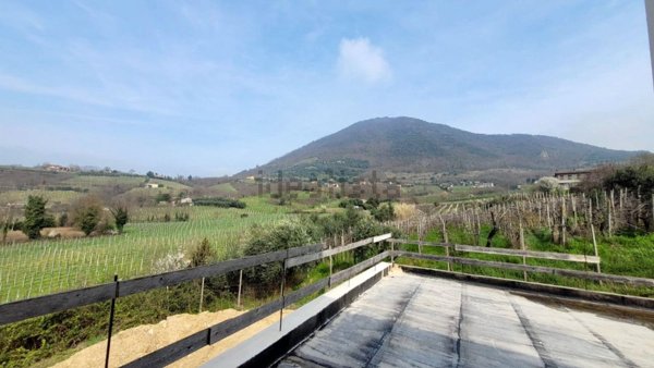casa indipendente in vendita a Vo'