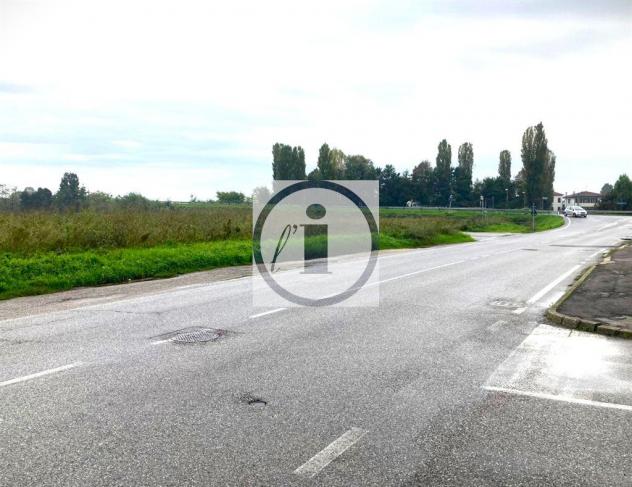 terreno agricolo in vendita a Due Carrare in zona Terradura