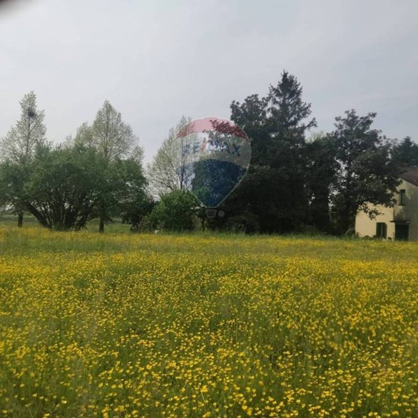 casa indipendente in vendita a Due Carrare in zona Palazzina