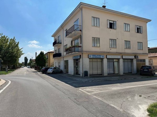 negozio in vendita a Due Carrare in zona Palazzina