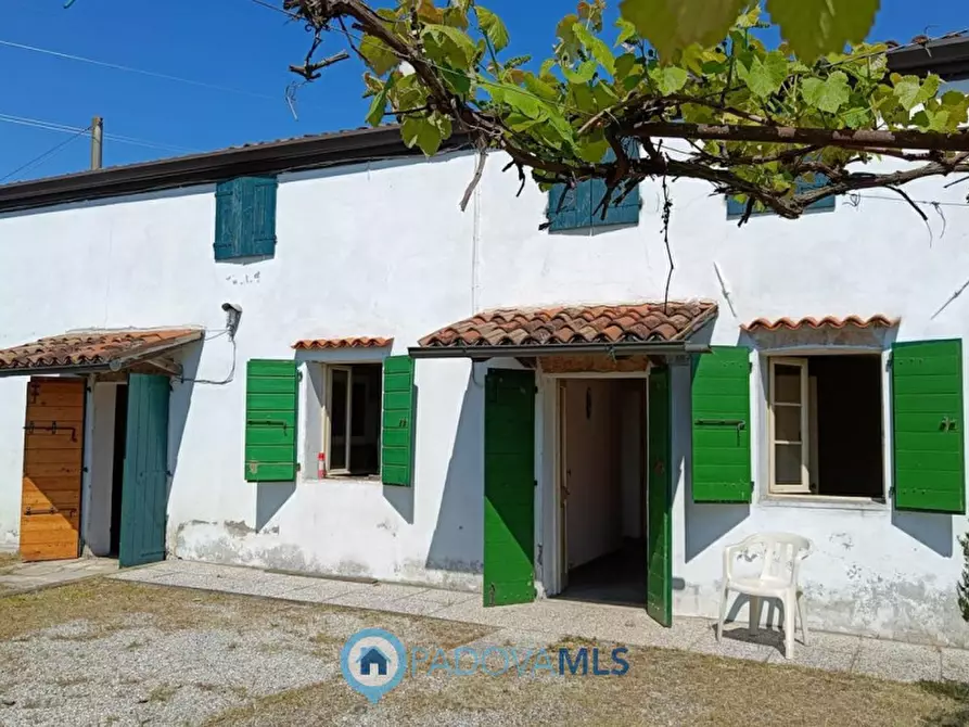 casa indipendente in vendita a Due Carrare in zona Chiodare