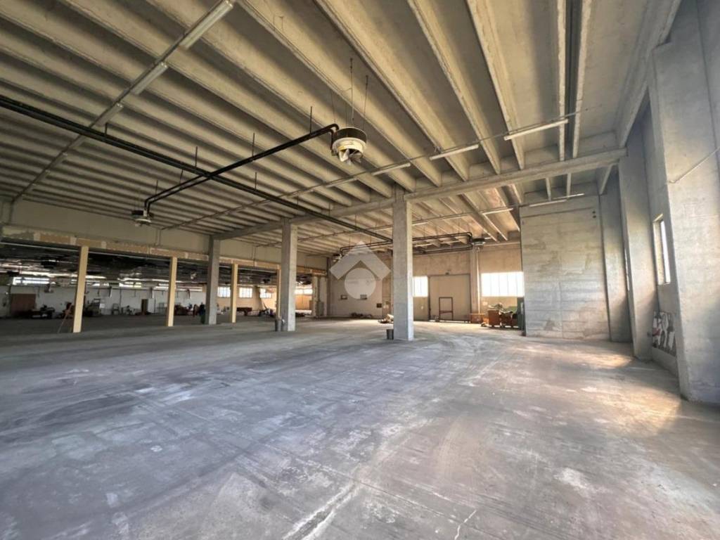 locale commerciale in vendita a Due Carrare in zona Cornegliana