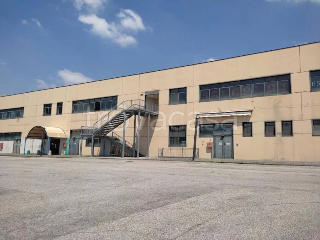 negozio in vendita a Due Carrare