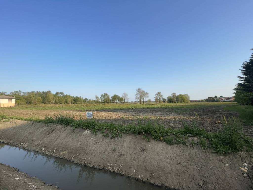 terreno agricolo in vendita a Due Carrare