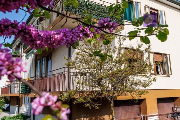 appartamento in vendita a Due Carrare in zona Palazzina