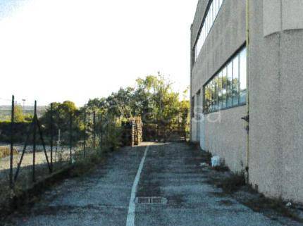 negozio in vendita a Due Carrare in zona Mezzavia