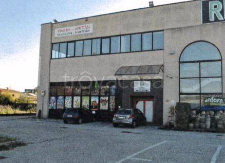 locale commerciale in vendita a Due Carrare in zona Terradura