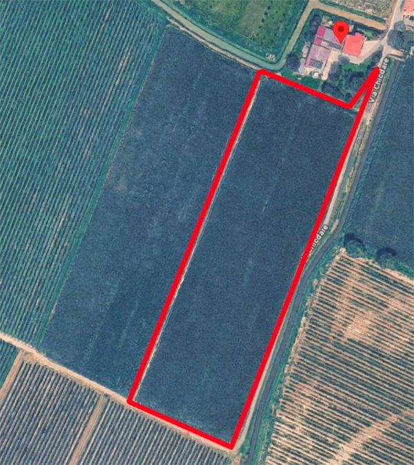 terreno agricolo in vendita a Due Carrare in zona Chiodare